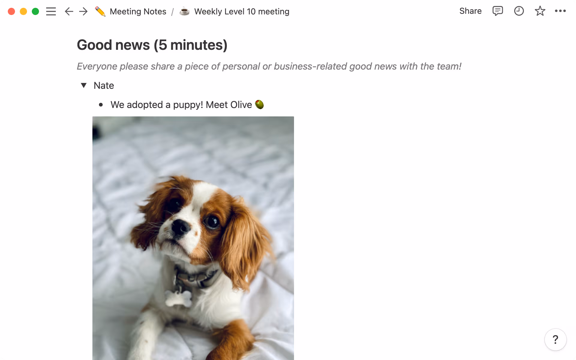 Utiliza desplegables para que cada persona tenga su propio espacio para compartir buenas noticias.