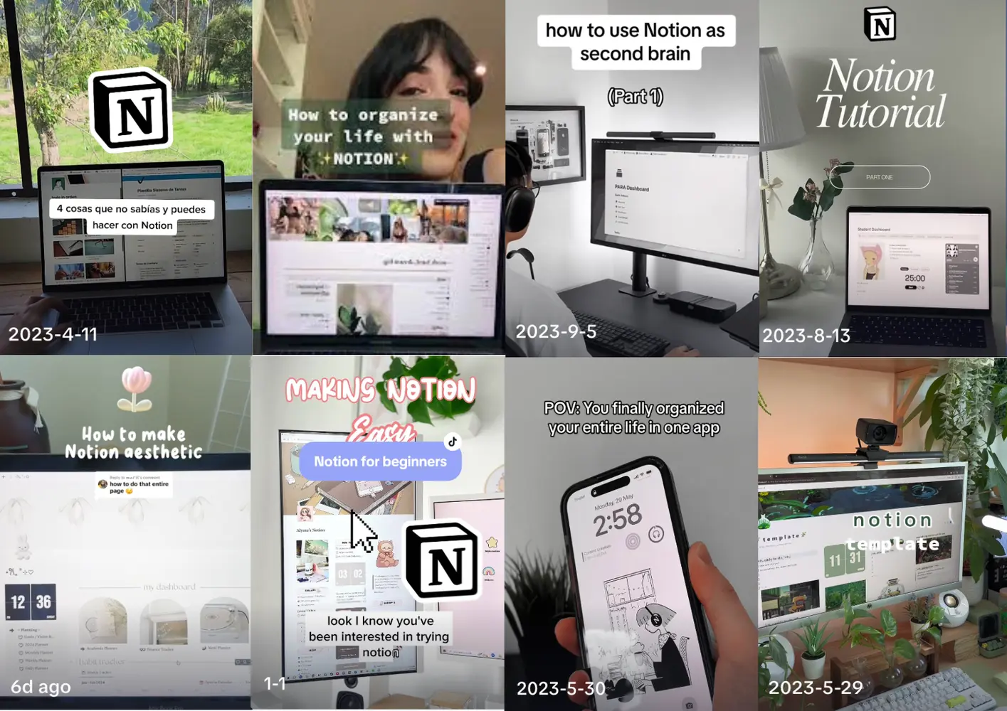 Assemblage of screens from social media showing Notion creators
